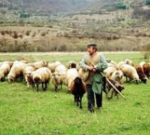 ΕΡΩΤΗΣΗ-2040-Οι κτηνοτρόφοι της Θράκης εκπέμπουν SOS για την διάσωση του επαγγέλματός τους