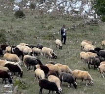 5078 – 21.03.2020 – Άμεσα μέτρα στήριξης και θωράκισης των αγροτών και κτηνοτρόφων από τον κορωνοϊό